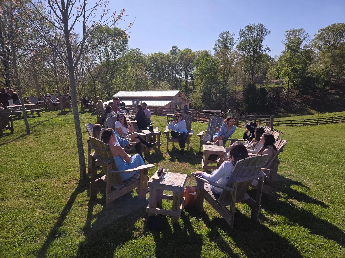 Am Vet Transit photo from Facebook
